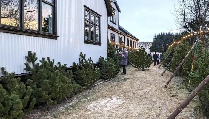 Ellidavatnsbaer Myndir - Reykjavík