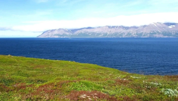 Eyjafjordur Afslættir - Iceland