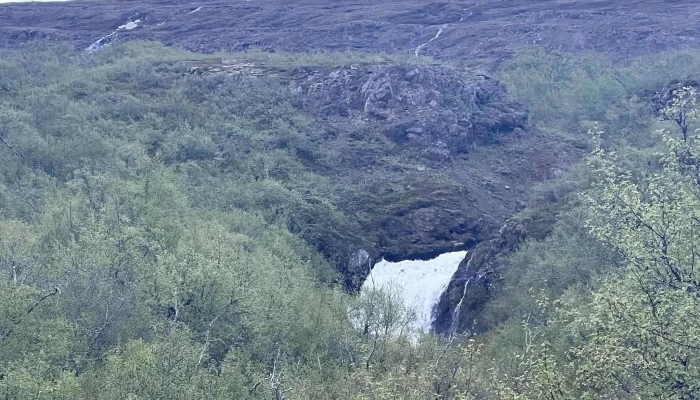 Eyjolfsstadaskogur Kynning - Vallanes