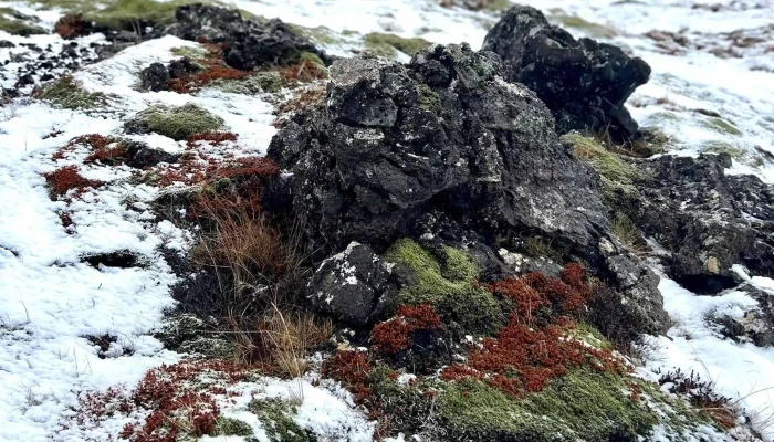 Fagradalsfjall Volcano Hike -  Private Tour Grindavik 10 - Grindavík