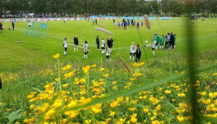 Fagrilundur -    Grasaefingarsvaedi Breidabliks Numer - Kópavogur