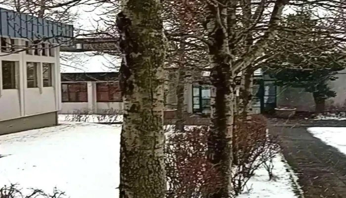 Felagsstarfid I Gerdubergi Myndskeid - Reykjavík