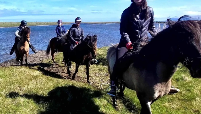 Fell Horse Rental -  Athugasemdir - Breiðdalsvík