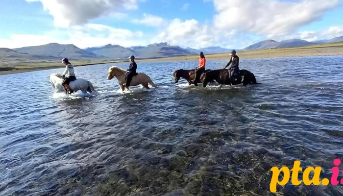 Fell Horse Rental -  Fra Eiganda - Breiðdalsvík