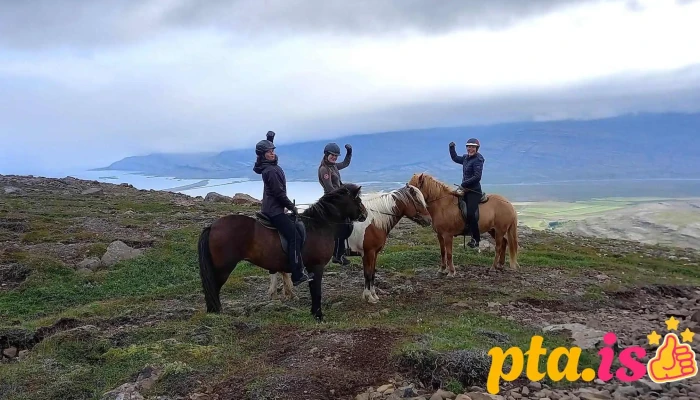 Fell Horse Rental -  Hestaleiga - Breiðdalsvík