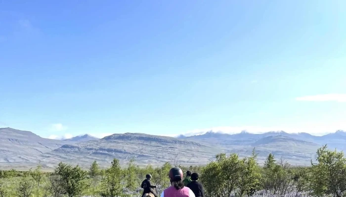Fell Horse Rental -  Hvar - Breiðdalsvík