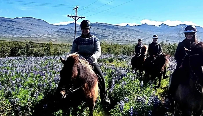 Fell Horse Rental -  Safn - Breiðdalsvík