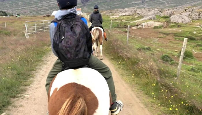 Fell Horse Rental -  Simi - Breiðdalsvík