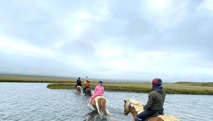 Fell Horse Rental -  Vefsiða - Breiðdalsvík