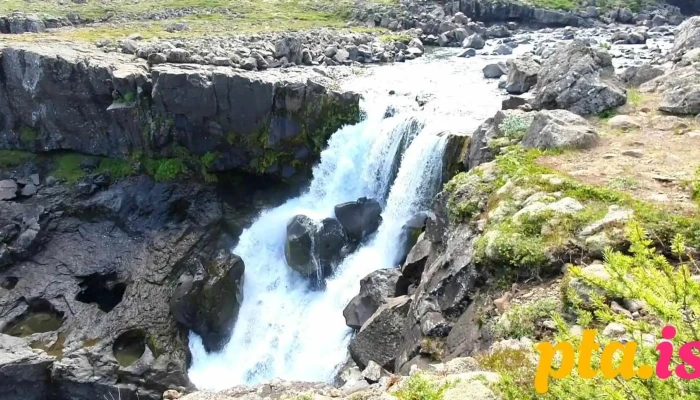 Ferdathjonustan Fossardal Fra Gestum - Djúpivogur