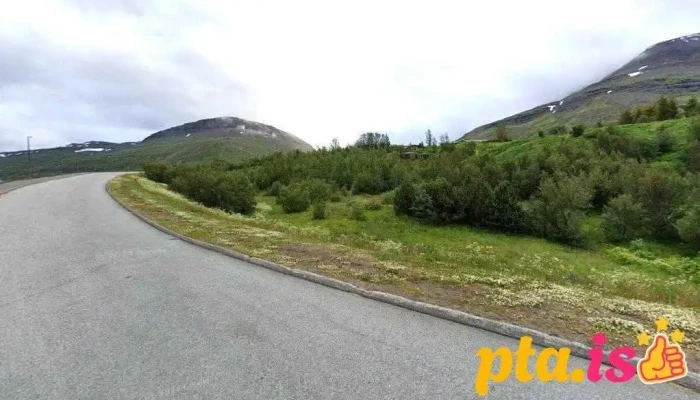 Ferskur og fallegur - Reyðarfjörður