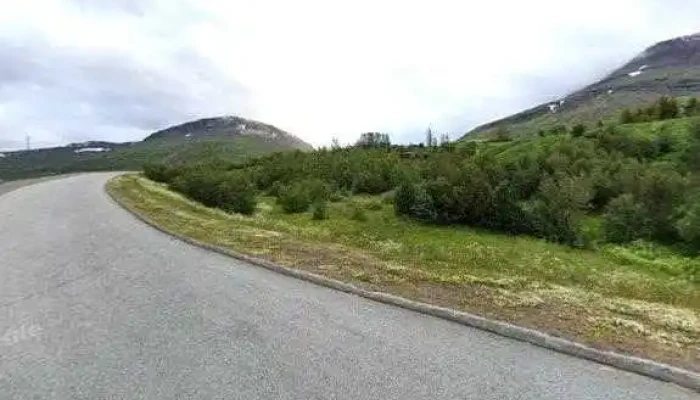 Ferskur Og Fallegur -  Veisluþjonusta - Reyðarfjörður