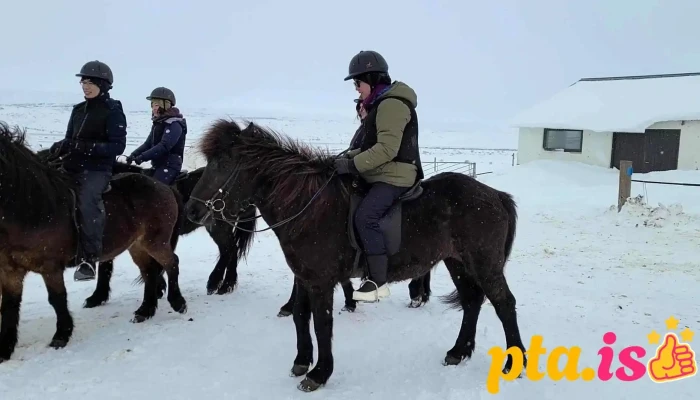 Finnsstadir Horse Ranch Fra Gestum - Egilsstaðir