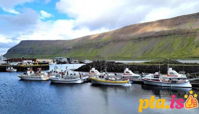 Fisherman Guesthouse Suðureyri -  Suðureyri 7 - Suðureyri