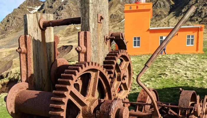 Fjallahestar -  Safn - Siglufjörður