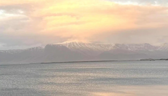 Fjöruverk - Reykjavík