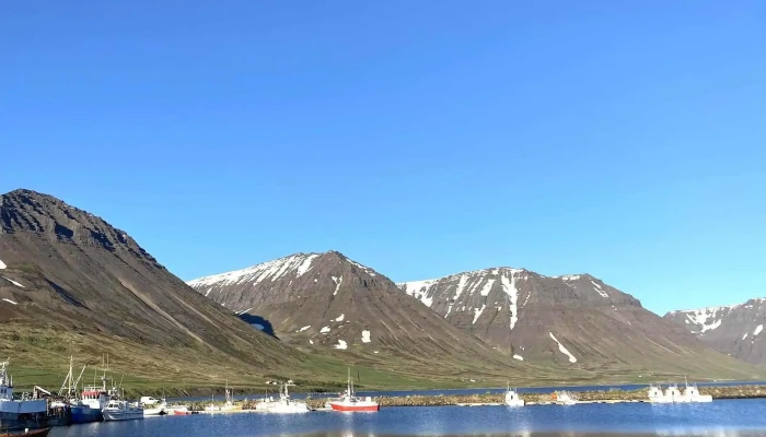 Flateyri Harbor -  Flateyri - Flateyri