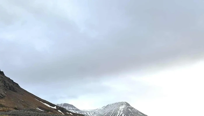Flatus Lifir Enn -  Aætlun - Mógilsá
