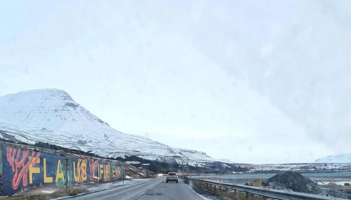 Flatus Lifir Enn -  Instagram - Mógilsá