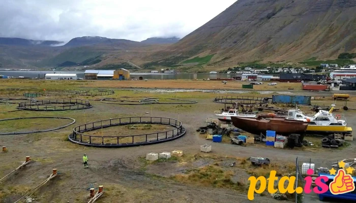 Flytjandi -    Eimskip Myndskeid - Ísafjörður