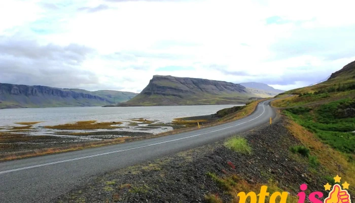 Foraging -    Hvalfjordur Fjorður - Iceland