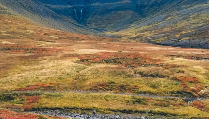 Foraging -    Hvalfjordur Myndir - Iceland