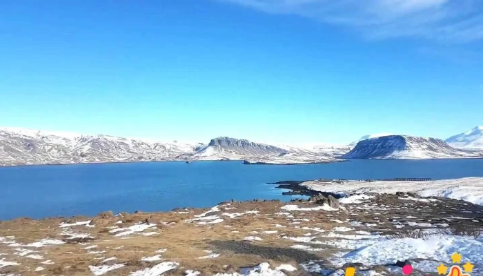 Foraging -    Hvalfjordur Myndskeid - Iceland