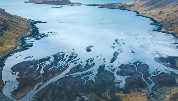 Foraging -    Hvalfjordur Numer - Iceland