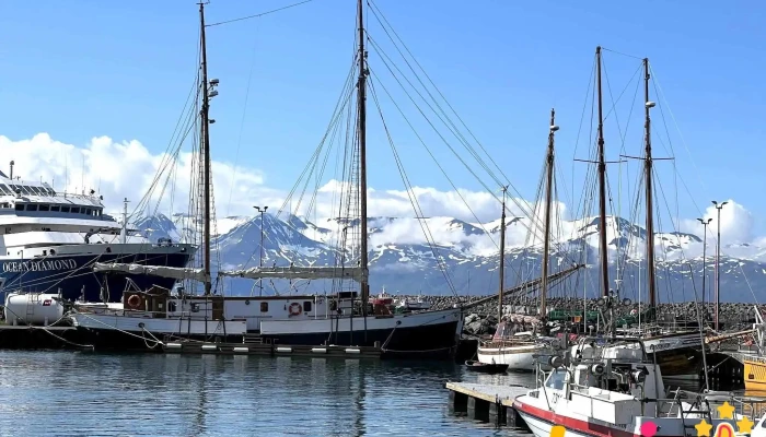 Fosshotel Husavik Fra Gestum - Húsavík