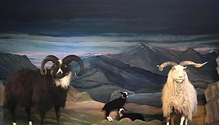 Fraedasetur Um Forystufe Myndir - Þórshöfn