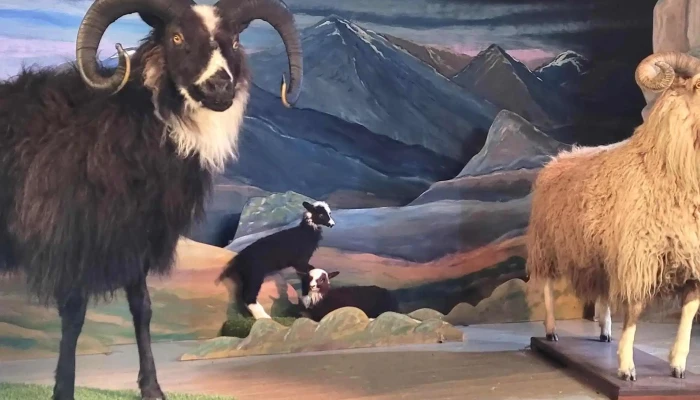 Fraedasetur Um Forystufe Svæði - Þórshöfn