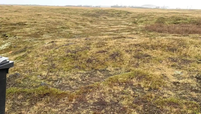 Frisbigolfvollurinn Thorlakshofn Folfvollur - Þorlákshöfn