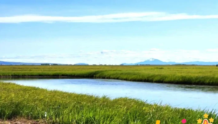 Friðland í Flóa - Eyrarbakki