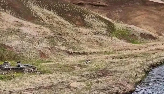 Frost Og Funi -  Naerumhverfi - Hveragerði