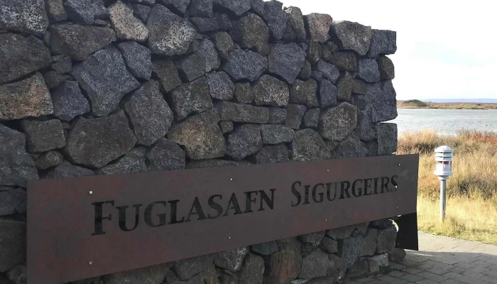 Fuglasafn Sigurgeirs -  Verð - Reykjahlíð