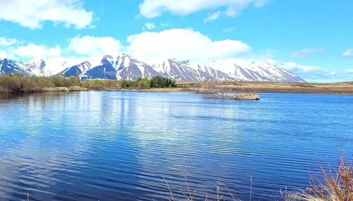 Fuglaskodunarhus Hrisey - Hrísey