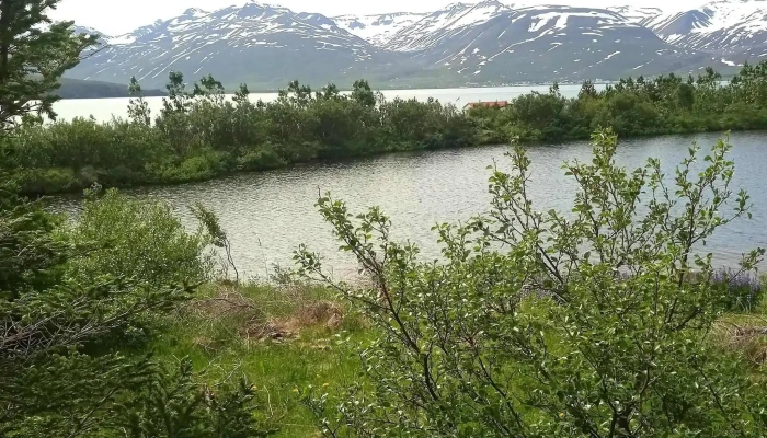Fuglaskodunarhus Hvernig A Að Komast þangað - Hrísey