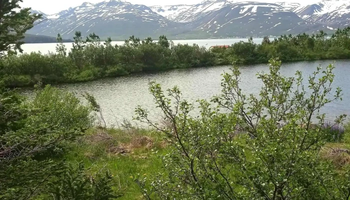 Fuglaskodunarhus Svæði - Hrísey