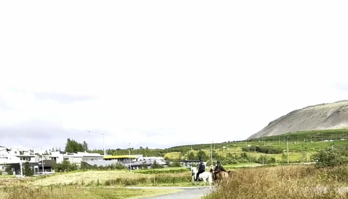 Fuglaskodunarhusid I Leiruvogi Afslættir - Mosfellsbær