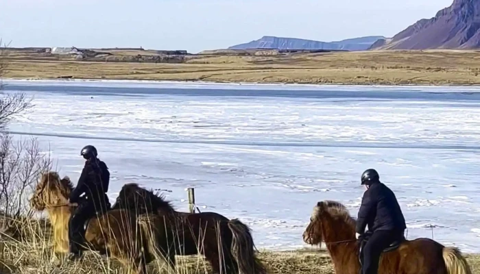 Fuglaskodunarhusid I Leiruvogi Staðsetning - Mosfellsbær