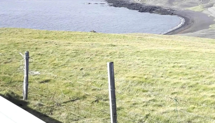 Fuglaskodunarsvaedi Verð - Vestmannaeyjabær