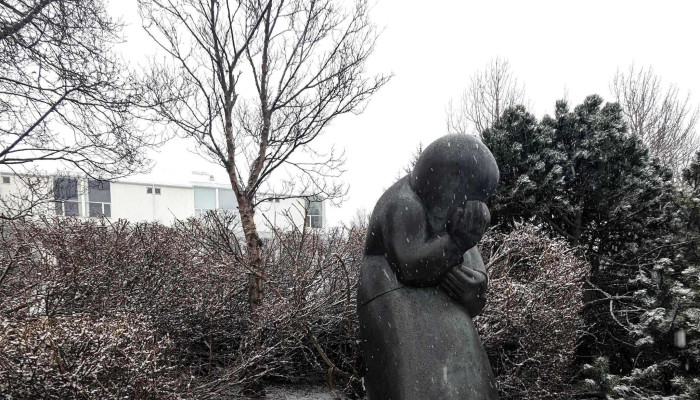 Fykur Yfir Haedir Kynning - Reykjavík