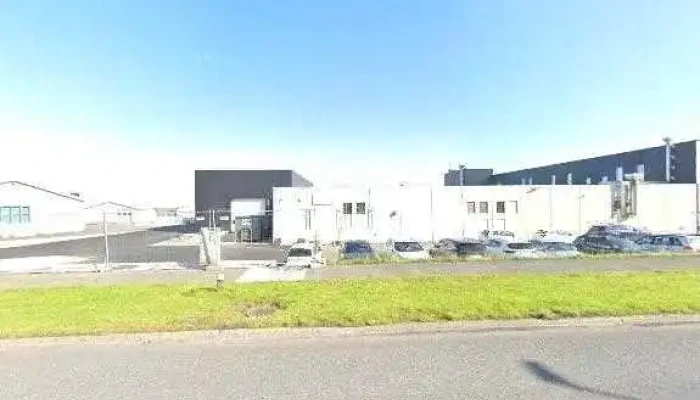 Gaedabakstur Islandspostur - Reykjavík