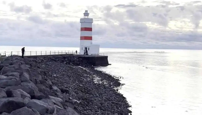 Gardur Tjaldsvaedi Myndskeid - Garður