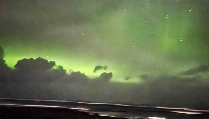 Gardur Tjaldsvaedi Umsagnir - Garður