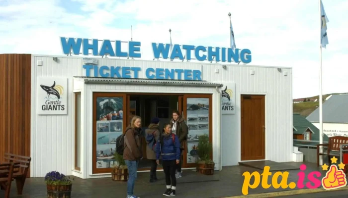 Gentle Giants -    Husavik Whale Watching Fra Eiganda - Húsavík