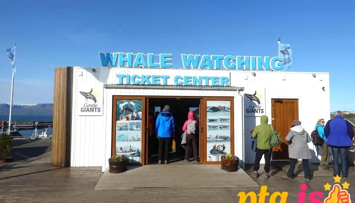 Gentle Giants -    Husavik Whale Watching Naerumhverfi - Húsavík