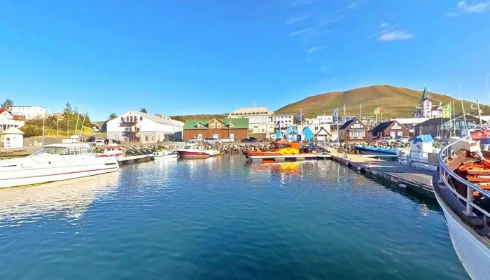 Gentle Giants -    Husavik Whale Watching Street View 360deg - Húsavík
