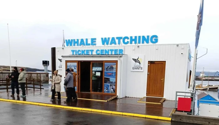 Gentle Giants -    Husavik Whale Watching Svæði - Húsavík