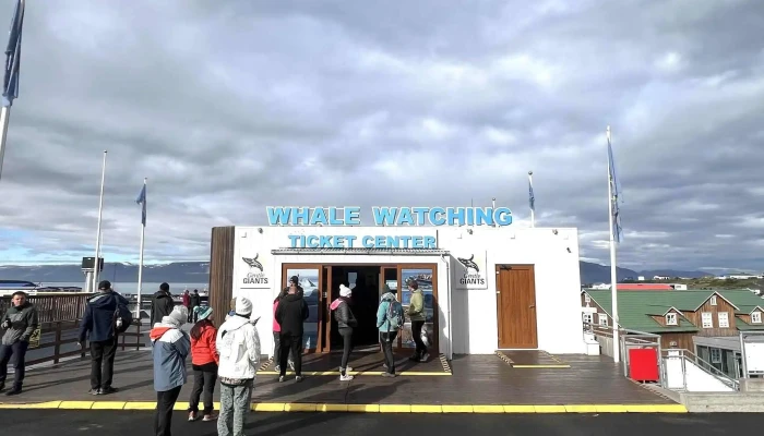 Gentle Giants -    Husavik Whale Watching Umsagnir - Húsavík